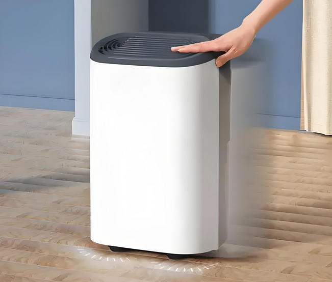 家用小型除濕機方案開發(fā)